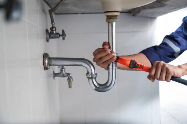 Professional Plumbing services in Bellair Meadowbrook Terrace, FL